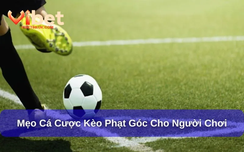 Kèo phạt góc là gì và mẹo chơi hiệu quả Kèo phạt góc là gì và mẹo chơi hiệu quả